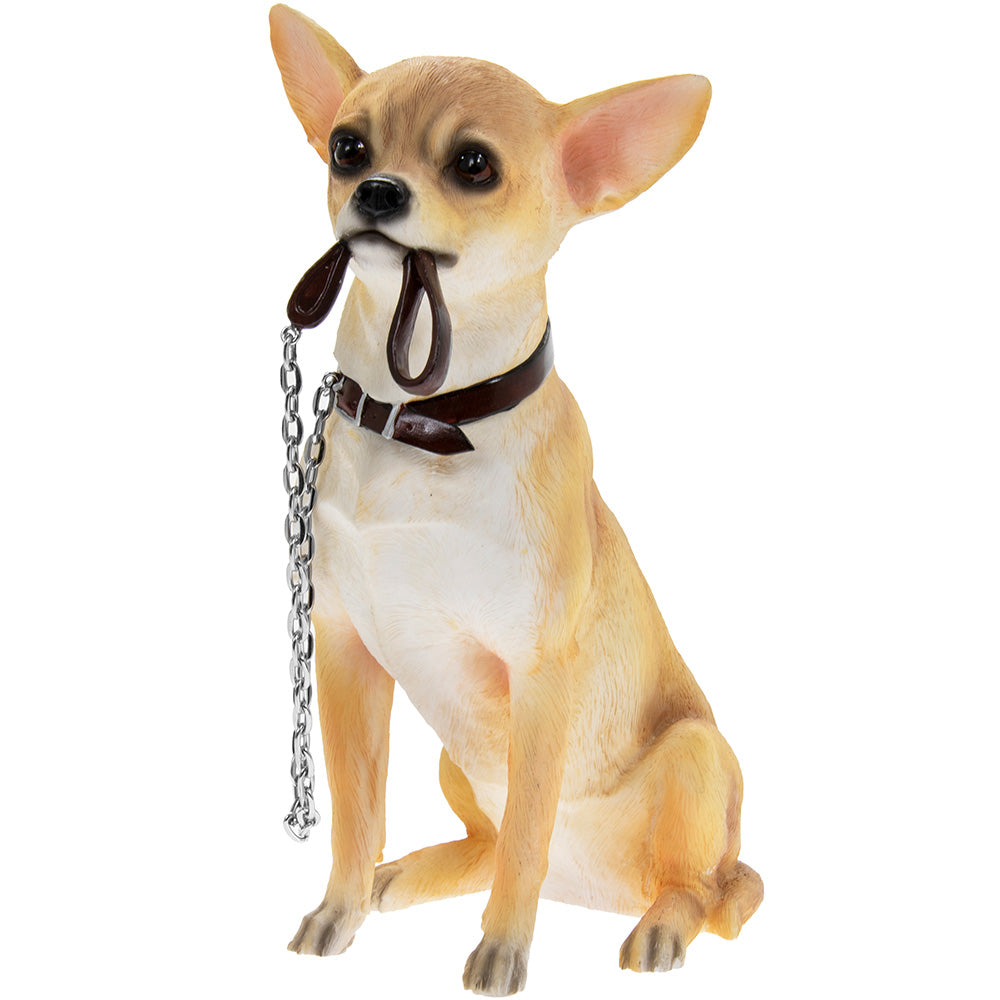 Koirahahmo - Chihuahua