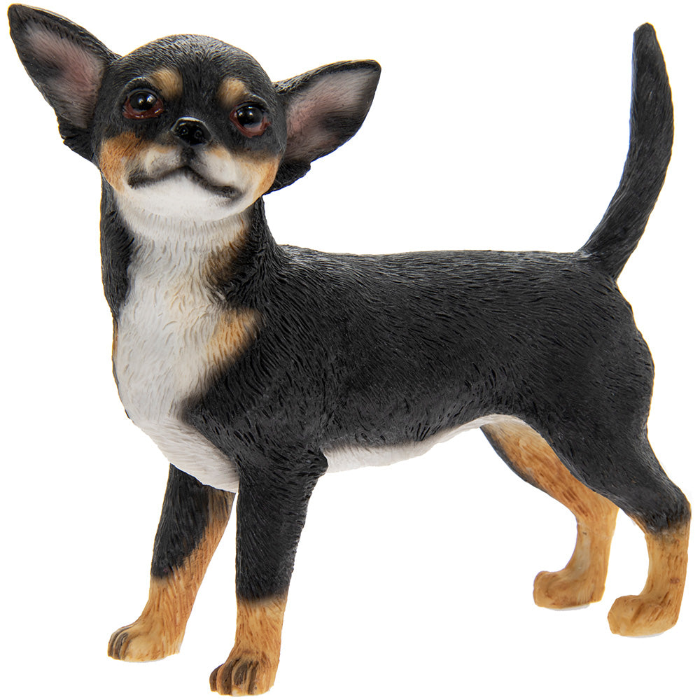 Koirahahmo - Chihuahua