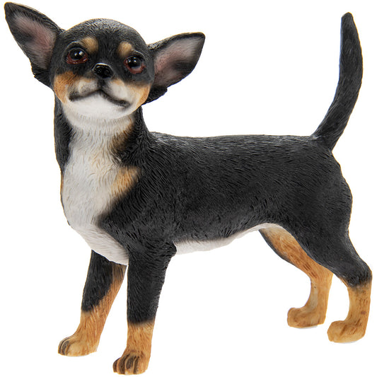 Koirahahmo - Chihuahua